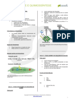biologia-fotossintese-e-quimiossintese-v02.pdf