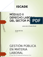 Derecho Laboral Del Sector Público