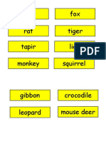 Bear Fox Rat Tiger Tapir Lion Monkey Squirrel