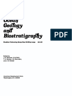 Indian Ocean Geology and Biostratigraphy PDF