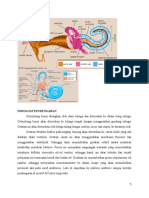 Fisiologi Pendengaran