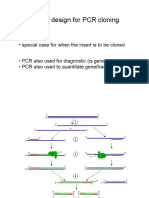 Primer Design For PCR Cloning