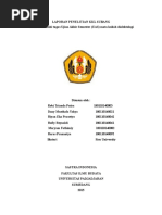 Download Revisi Dialektologi Subangdocx by Dany Martin Tumbel SN331137551 doc pdf