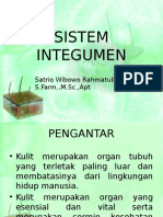 Sistem Integumen