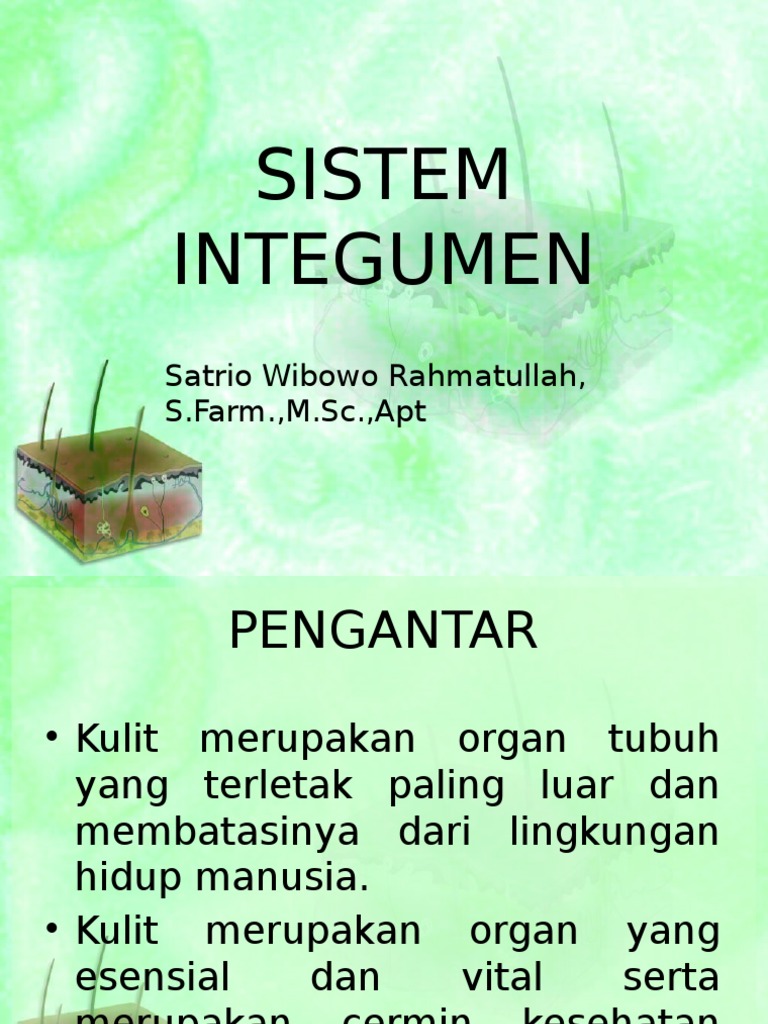 Struktur dan Fungsi Sistem Integumen | PDF