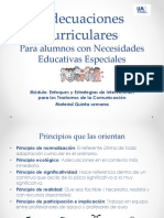 Adecuaciones Curriculares PDF