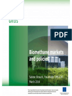 6 Sabine Strauch Biomethane Markets 2