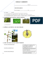 Ciencia y Ambiente