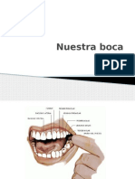 Nuestra Boca