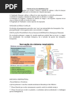 Fisiologia Da Respiração