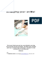 MassagingyourAnimal.pdf