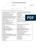 Evaluación Ciencias Naturales Sistema Esqueletico.