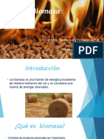 Biomasa 