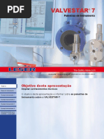 20-06 Valvestar Palestras de Treinamento