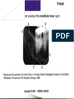 Identify The Normal Radiographic Anatomy of The Mandibular Molar Region