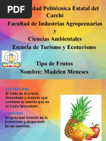 Tipos de Frutos