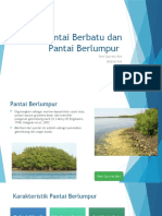 Pantai Berbatu Dan Pantai Berlumpur (1)