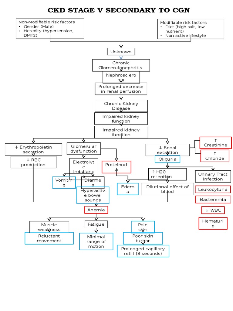 CKD Stage V: Risks and Symptoms | PDF
