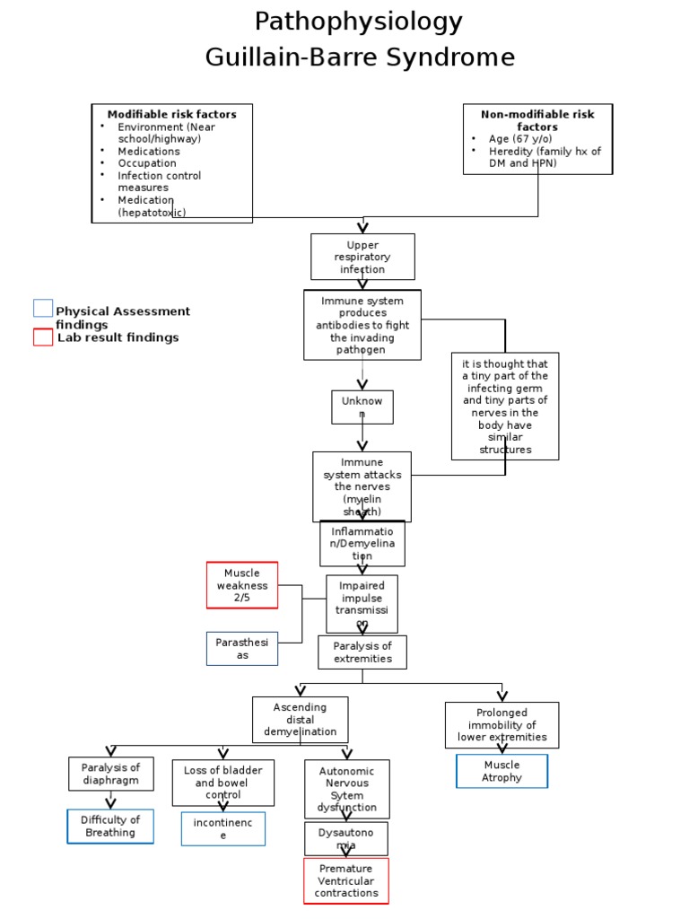 Modifiable Risk Factors Non Modifiable Risk Factors Physical