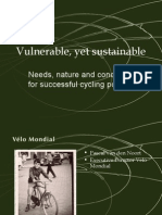 Vulnerable, Yet Sustainable: Needs, Nature and Conditions For Successful Cycling Policies
