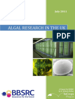 algal_scoping_study_report.pdf