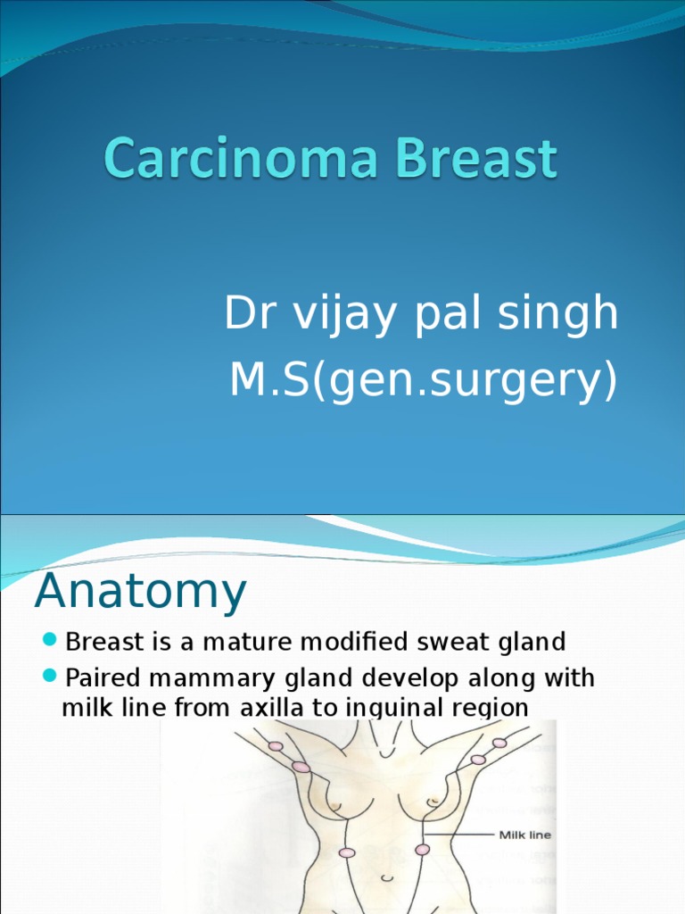 Breast Cancer Anatomy and Treatment Overview | PDF | Breast Cancer ...