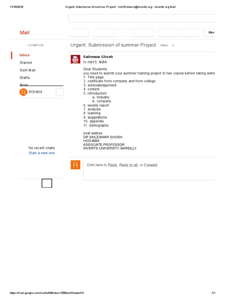 Summer Project Submission Guidelines | PDF