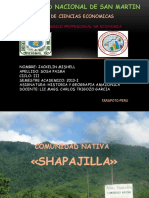 DIAPO-DE-SHAPAJILLA.pptx
