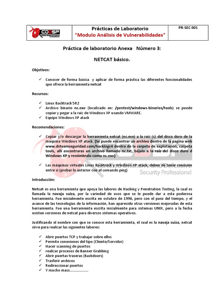Netcat PDF | PDF | Microsoft Windows | Protocolo de Control de Transmisión