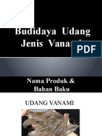 Presentasi Budidaya Udang Vanami