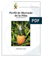 perfil-pina-130510175328-phpapp02.pdf