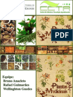 plantasmedicinais-130728135816-phpapp02.pdf