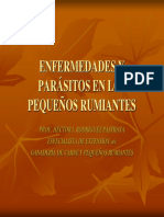 Enfermedades y parásitos en los pequeños rumiantes.pdf