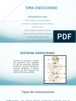 SISTEMA ENDOCRINO .pptx