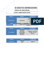 Familias de Insectos Depredadores