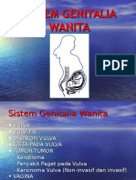 Kelainan Sistem Genitalia Wanita