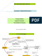 Nitrificación y Desnitrificación3