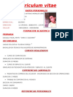 Curriculum Vitae