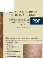 Grandes Síndromes Derma