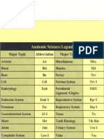 Anatomy 1