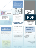 Leaflet Skizofrenia