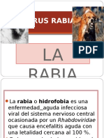 Virus Rabia