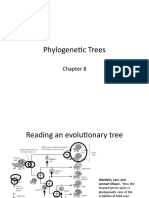 Lecture 8 Trees