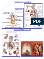 Efectos Del Alcohol Drogas y Tabaco Final