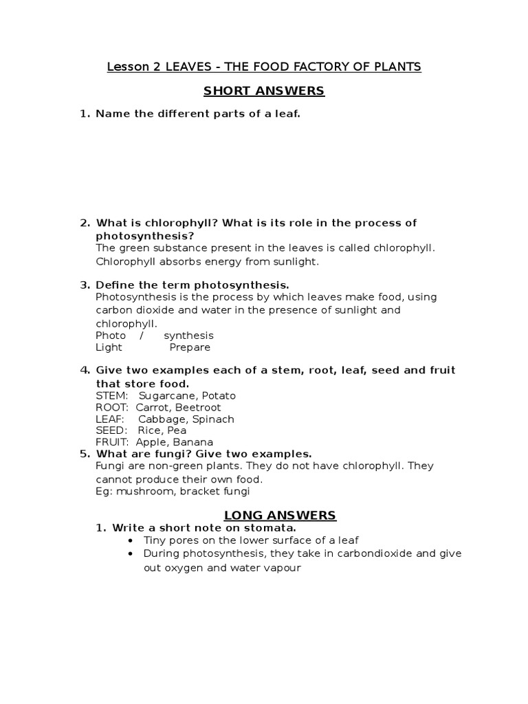 lesson-2-leaves-the-food-factory-of-plants-pdf-leaf-plants