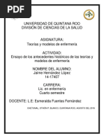 Ensayo - Antecedentes Historicos de Las Teorías y Modelos de Enfermería