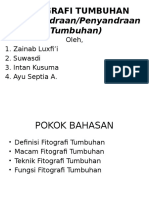 Fitografi Tumbuhan