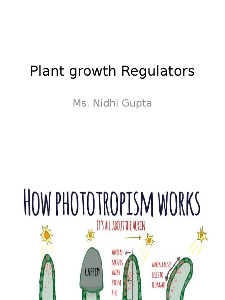 Plant Growth Regulators PDF