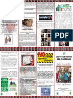 Folleto Efectos Cigarrillo PDF