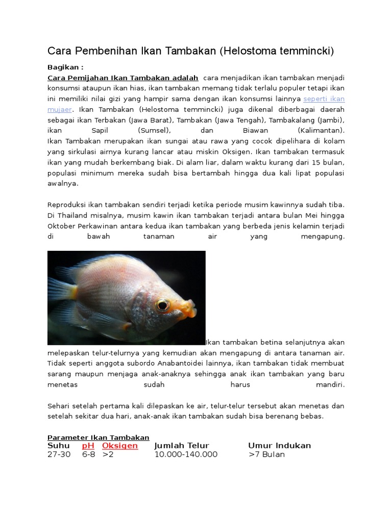 Cara Pembenihan Ikan Tambakan Pdf